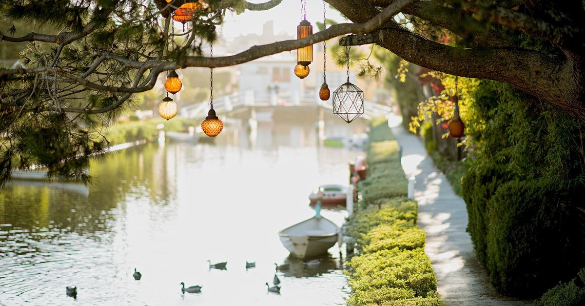 11 hour international layover in Los Angeles (LAX) - Brown Pendant Lamp Hanging on Tree Near River