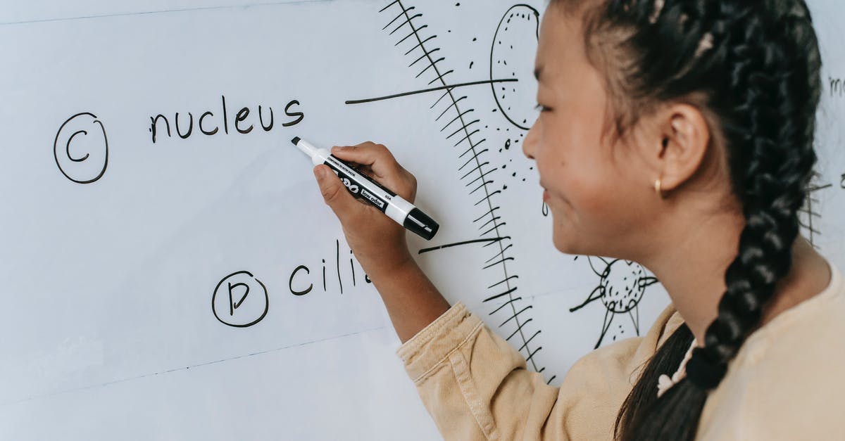 12 weeks in America - What questions should I prepare for? [duplicate] - Side view of ethnic teenage writing words on whiteboard and studying biology in classroom