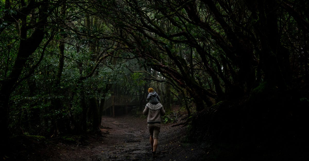 1-week holiday in Fiji. How to carry my cash? - Unrecognizable father with cute little child in dark green woods 1-week holiday in Fiji. How to carry my cash? - Unrecognizable father with cute little child in dark green woods