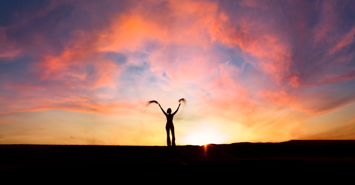 27 hours layover in Dubai and no valid visa - Silhouette of a Person Standing on the Desert During Sunset 27 hours layover in Dubai and no valid visa - Silhouette of a Person Standing on the Desert During Sunset