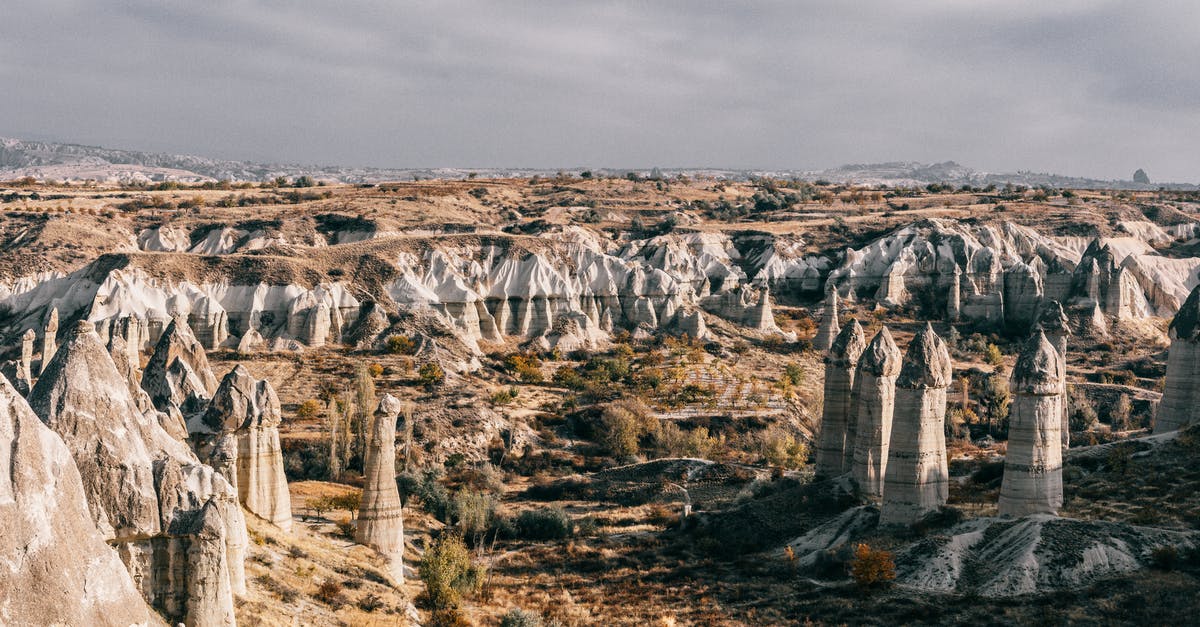 2 days in Orlando region -- nature and wildlife? - Stony formations near mountains and plants in valley in Cappadocia 2 days in Orlando region -- nature and wildlife? - Stony formations near mountains and plants in valley in Cappadocia
