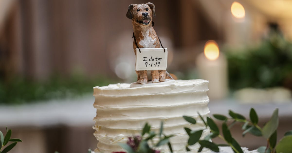 30-day grace period: flight leaves earlier than but arrives on the earliest date allowed [closed] - Dog Figurine on Top of a Cake