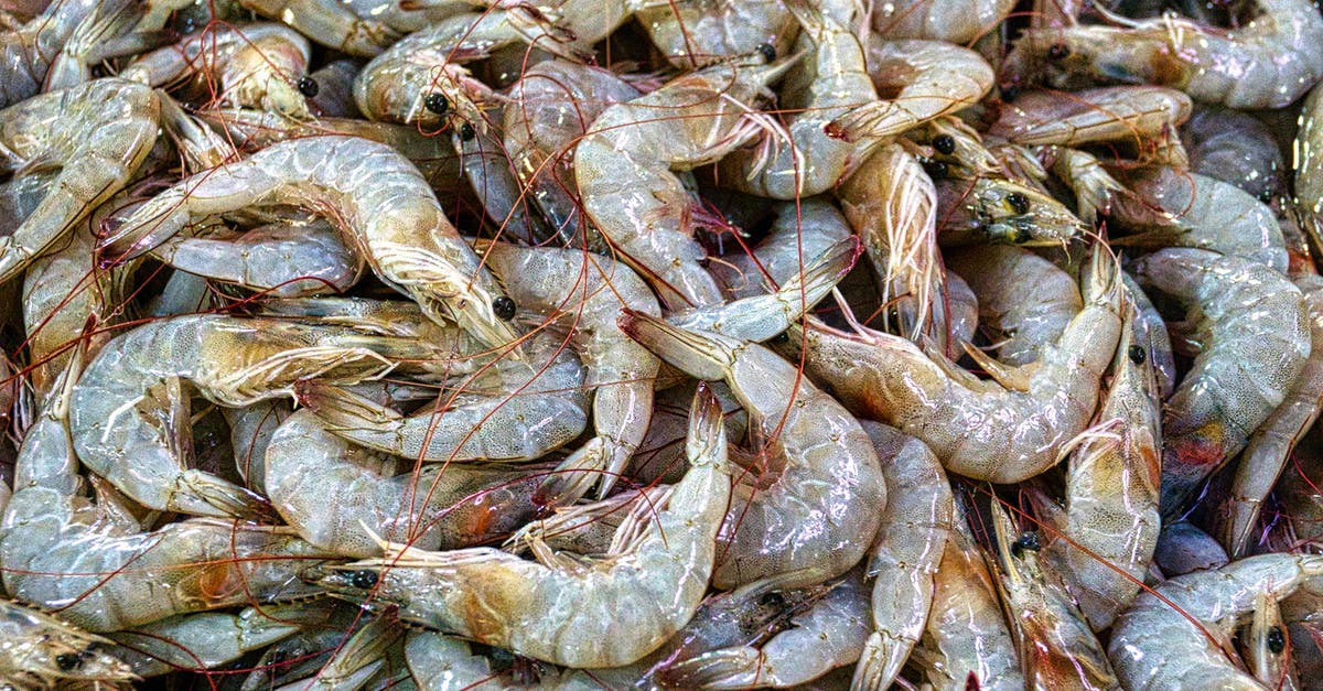 31 days in Indonesia [closed] - Fresh Prawns