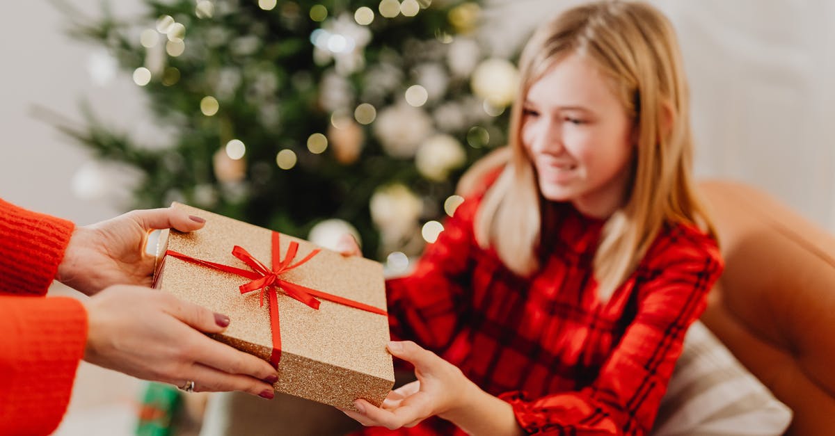 Accommodation for unaccompanied teenager in Tokyo - Woman in Red and Black Plaid Dress Shirt Holding Brown Gift Box Accommodation for unaccompanied teenager in Tokyo - Woman in Red and Black Plaid Dress Shirt Holding Brown Gift Box
