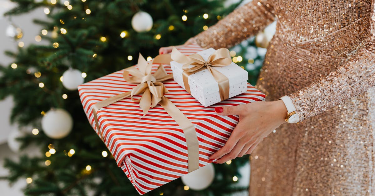 Activities during the winter in Dubrovnik [closed] - Person Holding White Gift Box
