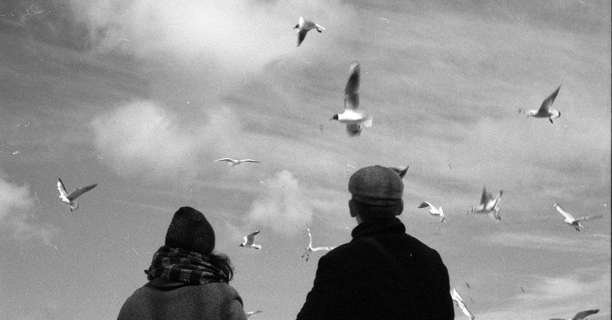 Advice for flying with a 6 month old infant? - Grayscale Photo of Man and Woman Watching the Flying Birds Advice for flying with a 6 month old infant? - Grayscale Photo of Man and Woman Watching the Flying Birds
