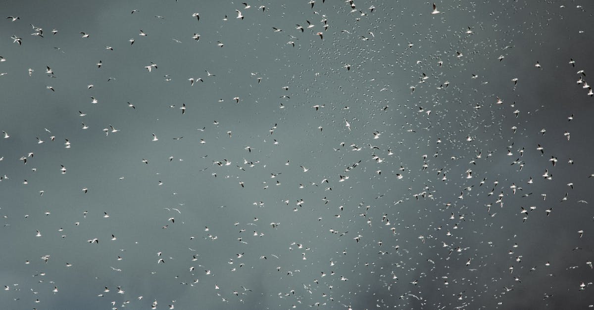 Air China/Star Alliance baggage drop at Heathrow? - Water drops on glass surface Air China/Star Alliance baggage drop at Heathrow? - Water drops on glass surface