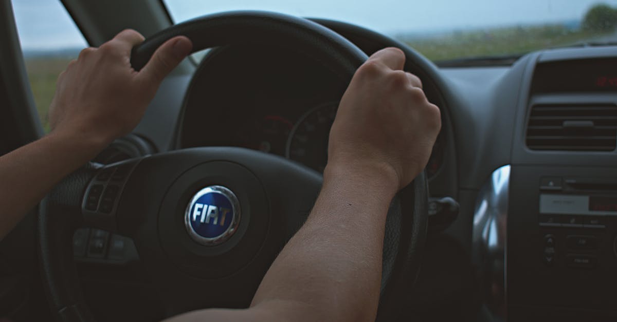 AirBNB for Ukrainian eVisa or Passport Control - Person Driving Fiat Vehicle AirBNB for Ukrainian eVisa or Passport Control - Person Driving Fiat Vehicle