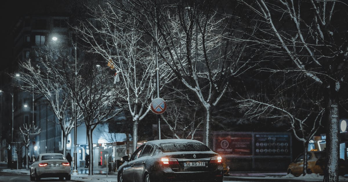 Albania traffic requirements - Cars on Road Near Bare Trees during Night Time Albania traffic requirements - Cars on Road Near Bare Trees during Night Time