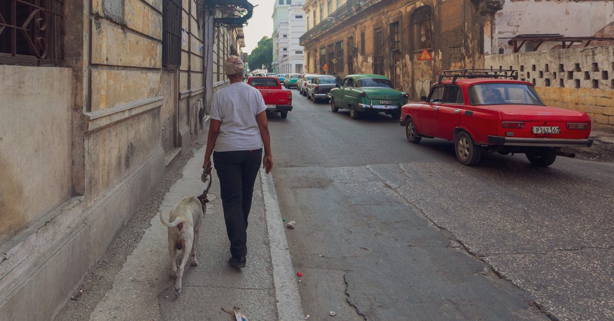 Albania traffic requirements - Person with a Dog Walking on the Sidewalk Albania traffic requirements - Person with a Dog Walking on the Sidewalk