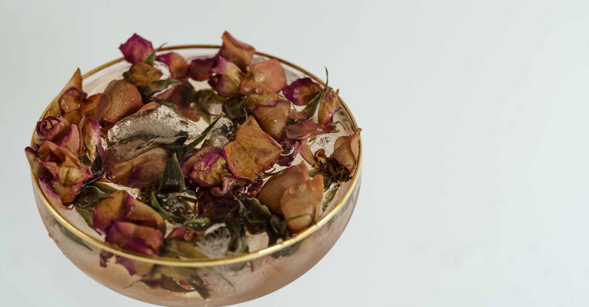 Alcohol as necessary medicine when visiting dry countries? - High angle of coupe glass filled with cold cocktail with dried herbs on white background Alcohol as necessary medicine when visiting dry countries? - High angle of coupe glass filled with cold cocktail with dried herbs on white background