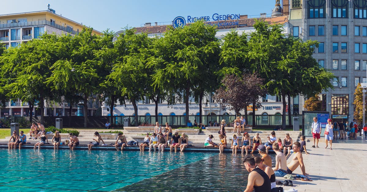 Alternative to public hot water bath in Japan for a tattooed person - Group of people chilling near fountain in park Alternative to public hot water bath in Japan for a tattooed person - Group of people chilling near fountain in park