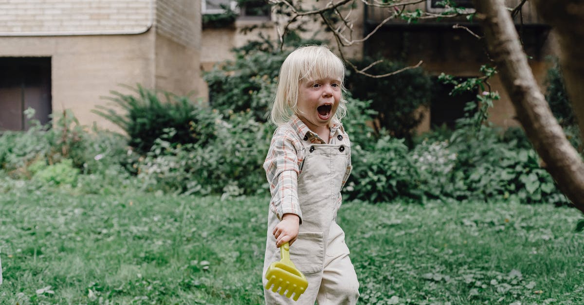 Am I able to carry on a small Swiss army knife? - Cute little boy with plastic rake on lawn with fresh green grass in yard Am I able to carry on a small Swiss army knife? - Cute little boy with plastic rake on lawn with fresh green grass in yard