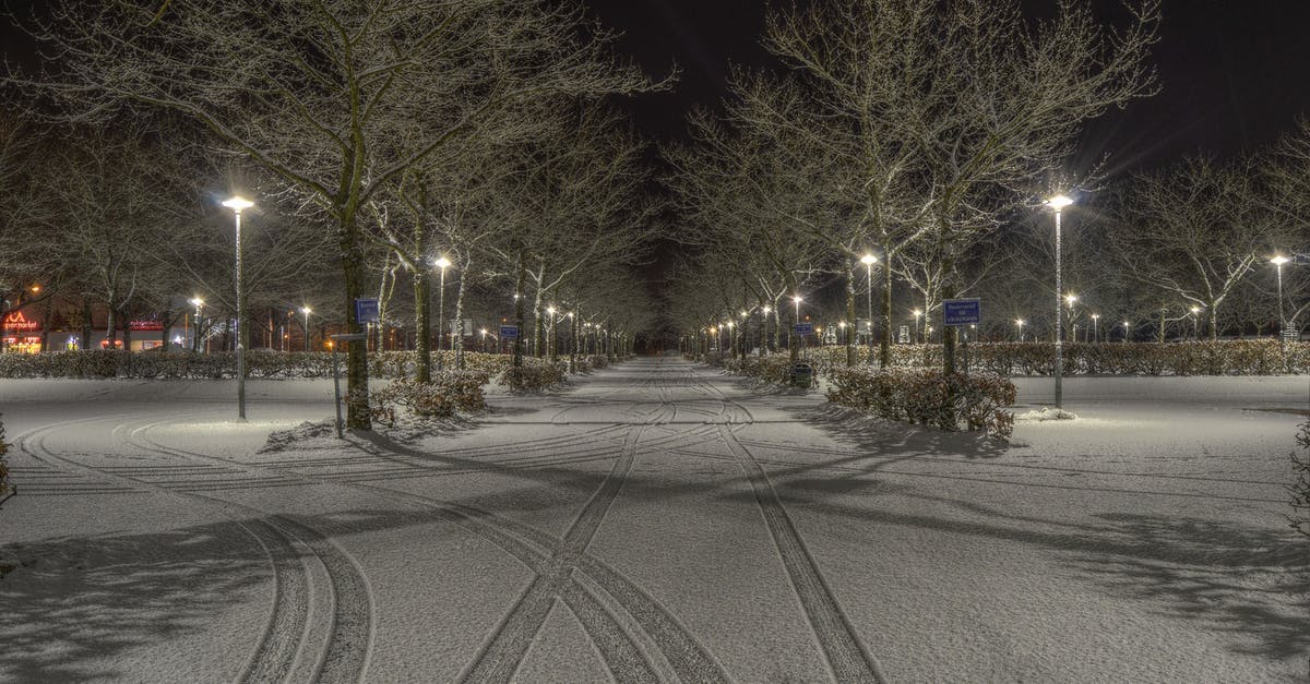 Am I supposed to pay for parking when the parking meter is buried under the snow (USA)? - Cleared Road Near Trees and Light Post during Nighttime Am I supposed to pay for parking when the parking meter is buried under the snow (USA)? - Cleared Road Near Trees and Light Post during Nighttime
