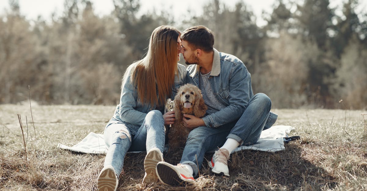 American ID requirements for indian domestic flights - Full body happy couple in jeans clothes kissing while hugging cute American Cocker Spaniel together having rest on forest lawn in autumn American ID requirements for indian domestic flights - Full body happy couple in jeans clothes kissing while hugging cute American Cocker Spaniel together having rest on forest lawn in autumn