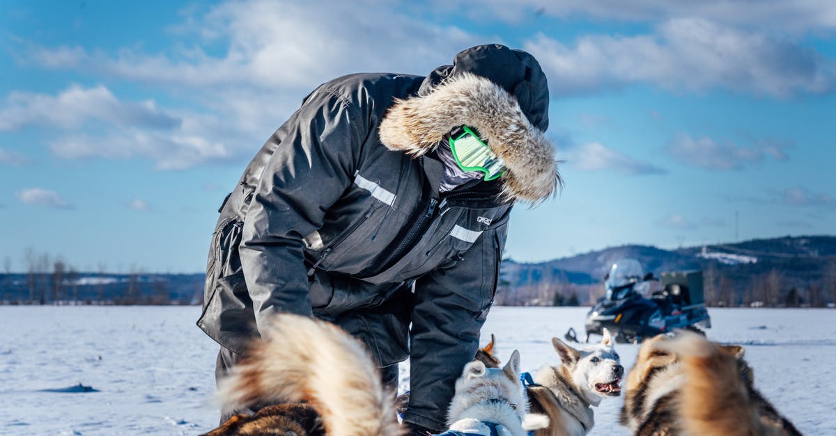 American Service Dogs In Canada - Man and his Dog Sled American Service Dogs In Canada - Man and his Dog Sled