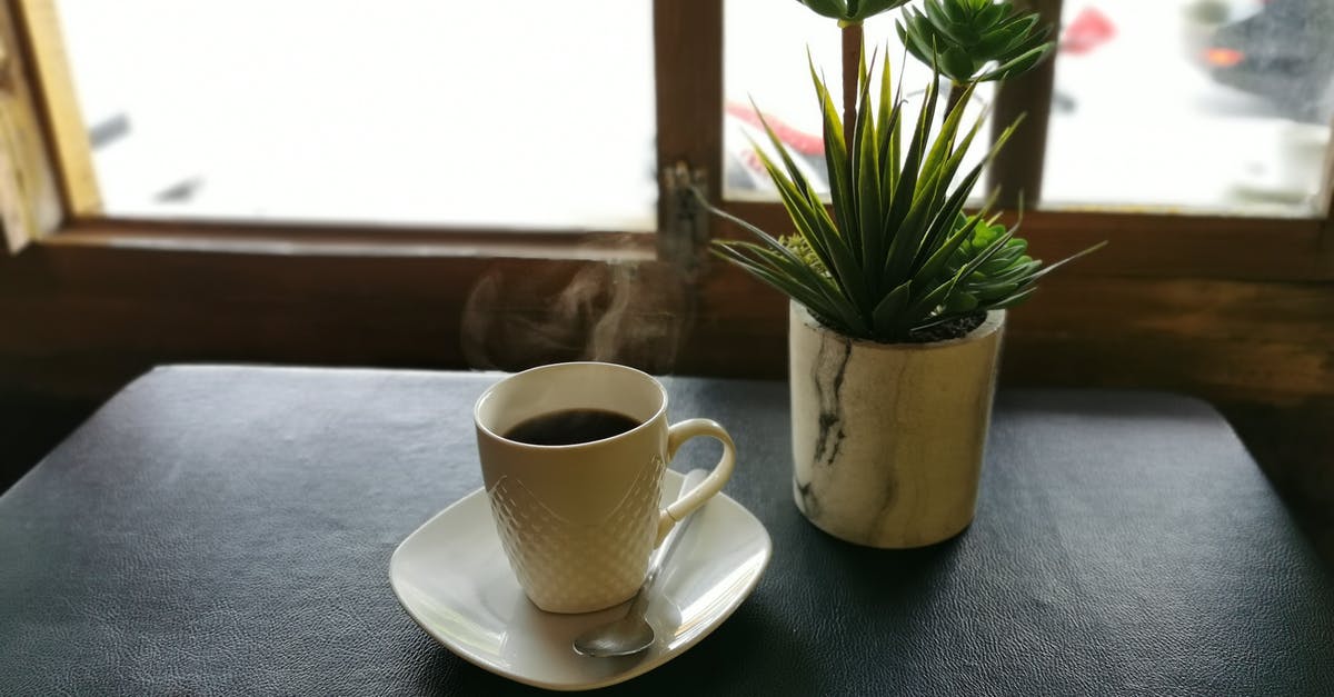 Amsterdam: day tickets from Sloterdijk to Centraal? - From above cup of fresh brewed hot coffee placed on table near window with potted succulents on sunny day Amsterdam: day tickets from Sloterdijk to Centraal? - From above cup of fresh brewed hot coffee placed on table near window with potted succulents on sunny day