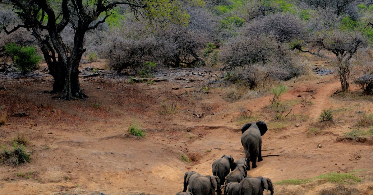 Any faster travelling method between Mingan National Park and Gaspésie? - Elephants on Brown Mountain Any faster travelling method between Mingan National Park and Gaspésie? - Elephants on Brown Mountain