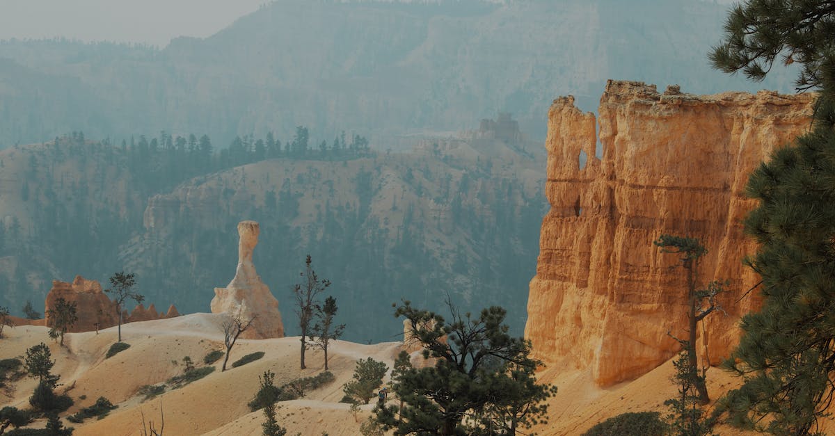 Any recommendation for two adults for one day tour from Las Vegas to Zion and Bryce canyon national park [closed] - Brown Rock Formation Near Green Trees