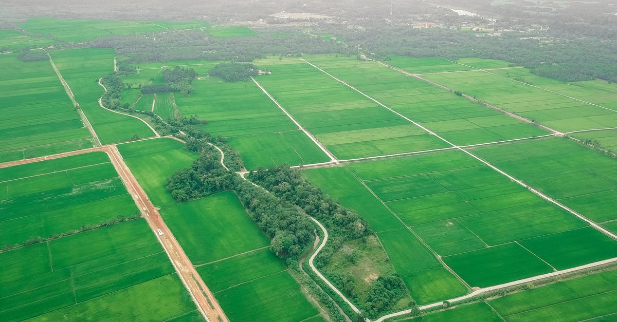 Apart from these countries, is there any other one where you can see the auroras and at the same time go to a tropical forest in their territory? - Drone view of vibrant green plantations divided by long beige roads and woods by mountain ridge on horizon in daytime