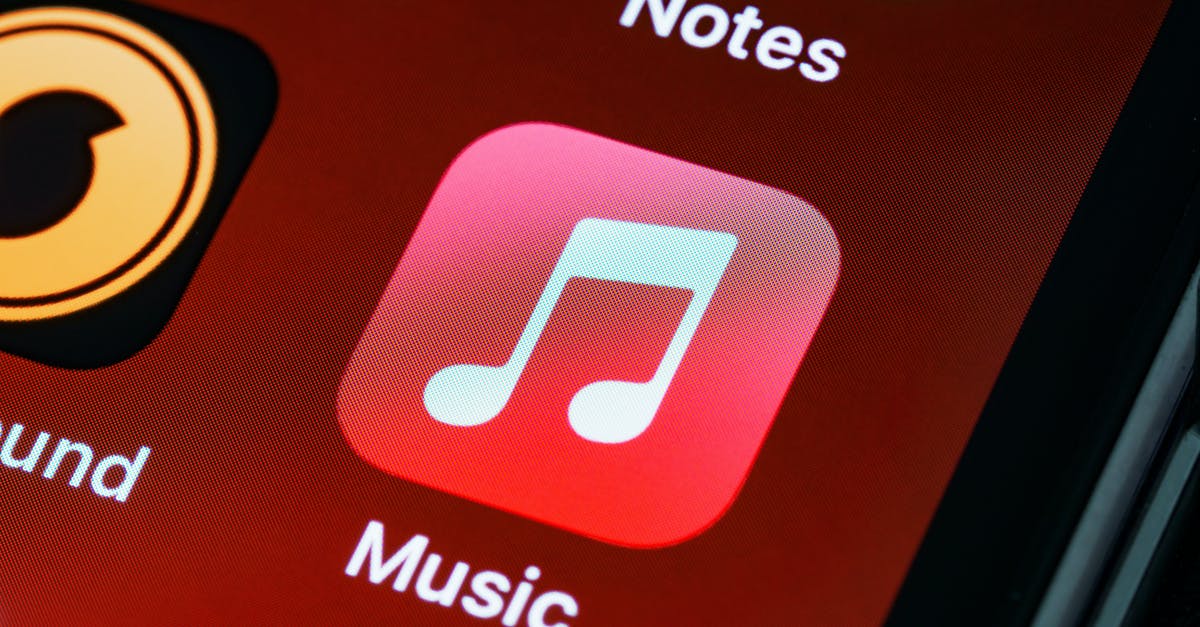 Application for UK Visa rejected. How do I make my second application stronger? [duplicate] - Free stock photo of app, apple music, application