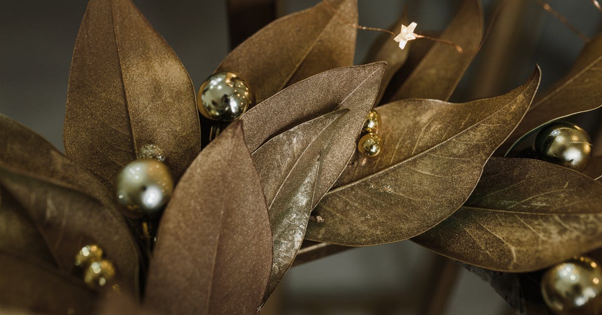 Applied for a Canadian Working Holiday Visa over six weeks ago and still haven't heard anything, should I be concerned? [closed] - Free stock photo of 2021, celebration, christmas