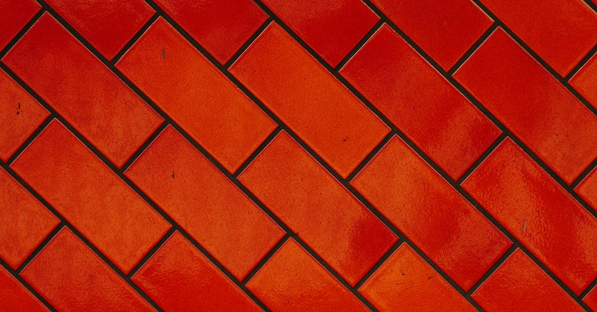 Applying for a new Schengen Visa even though there's still an existing used schengen visa [duplicate] - Background of bright red bricks