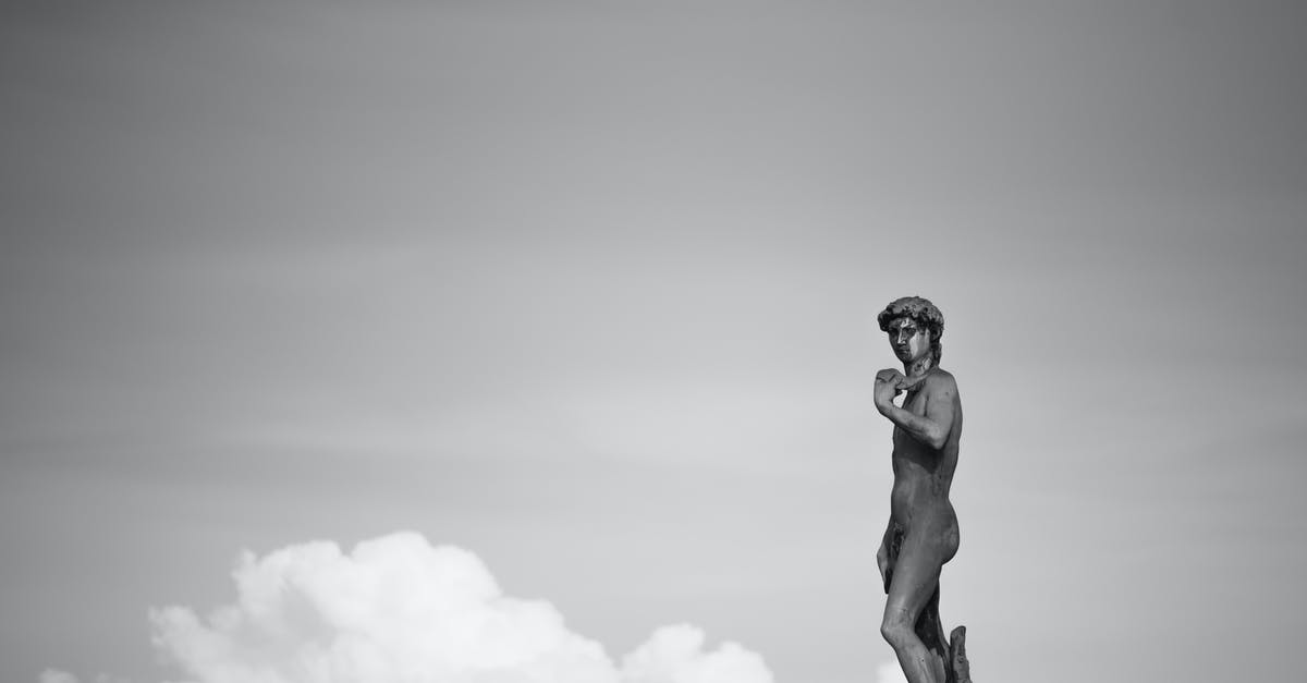 Are duplicate Greek PLFs required to provide accurate vaccination information? - Grayscale Photo of Man Statue Are duplicate Greek PLFs required to provide accurate vaccination information? - Grayscale Photo of Man Statue