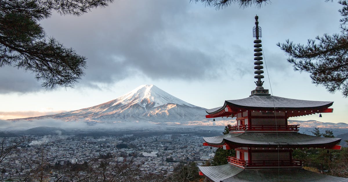 Are Ginkgo trees in Japan rare and if so, where can I find them? - Red and Gray Pagoda Temple Are Ginkgo trees in Japan rare and if so, where can I find them? - Red and Gray Pagoda Temple