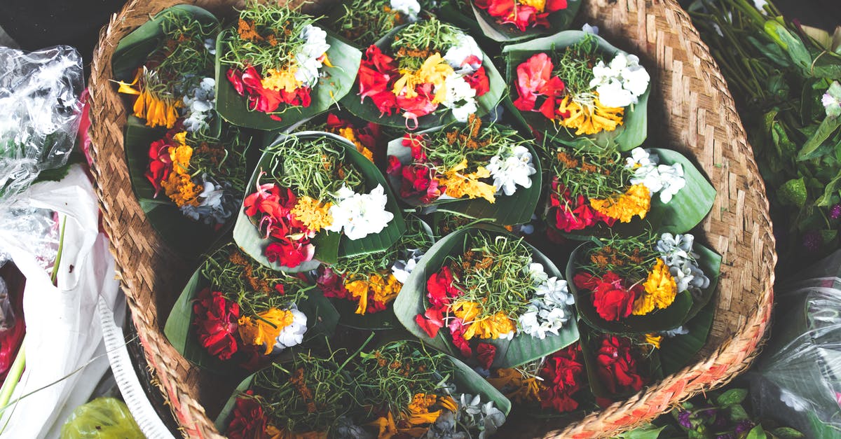 Are JKT and CGK the same Indonesian Airport? - Assorted Flowers Are JKT and CGK the same Indonesian Airport? - Assorted Flowers