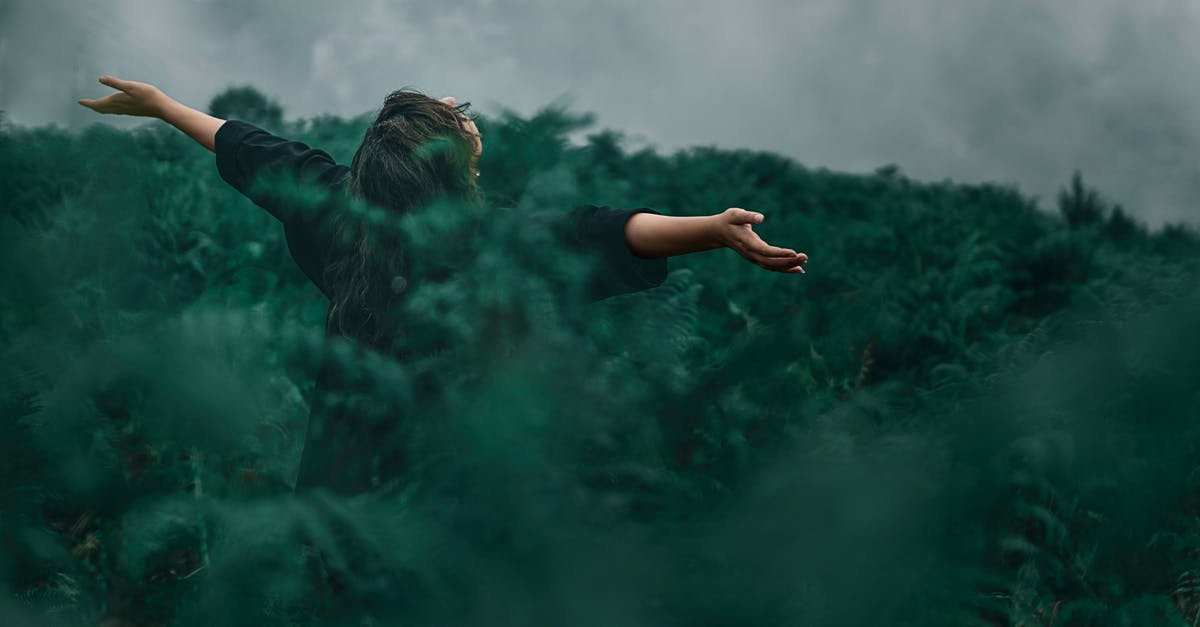 Are nursing rooms free at Changi? - Person Standing on Grass Field While Opening Hands Are nursing rooms free at Changi? - Person Standing on Grass Field While Opening Hands
