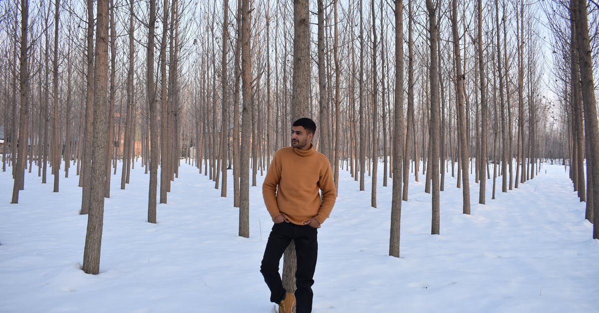 Are snow spikes for boots allowed in hand luggage? - A Man Leaning on a Tree Trunk Are snow spikes for boots allowed in hand luggage? - A Man Leaning on a Tree Trunk