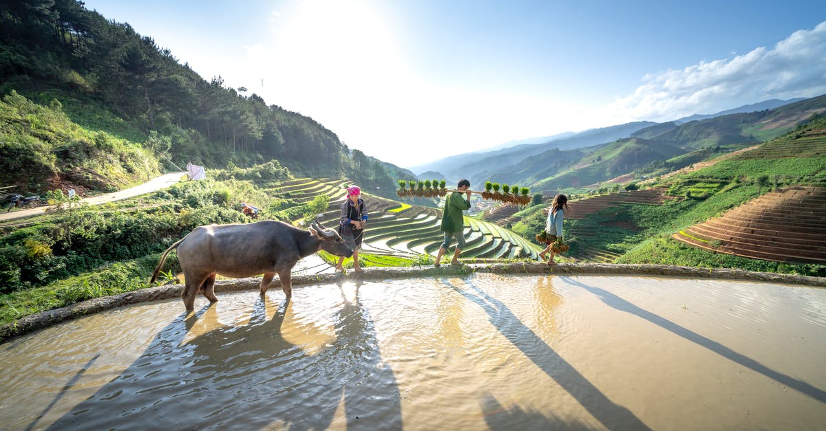 Are the hoses in toilets in Asia something I should know about? - Rice Paddy with Farmers Family and a Cow Are the hoses in toilets in Asia something I should know about? - Rice Paddy with Farmers Family and a Cow