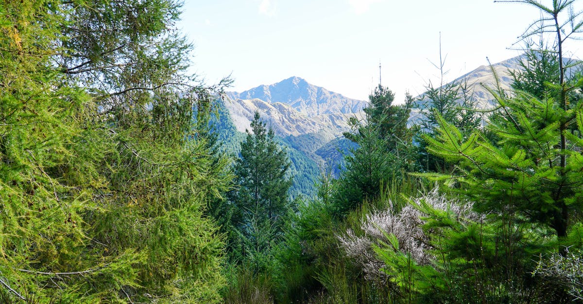 Are the roads in South Island in New Zealand very curvy? [closed] - Free stock photo of adventure, aerial, alpine