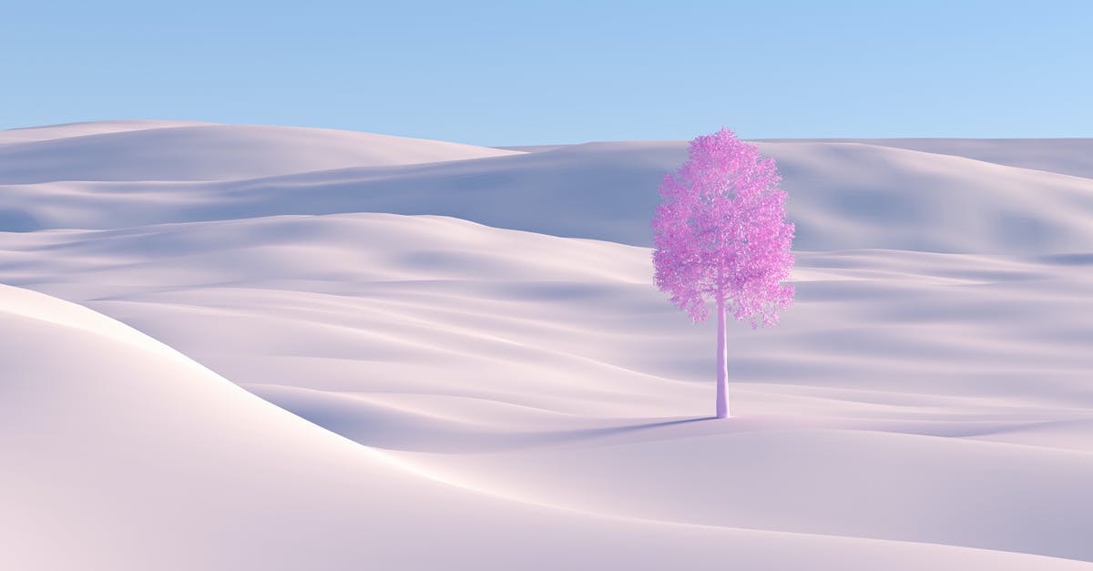 Are the sand dunes at Knolls, UT safe to visit? - Purple Tree on Desert Are the sand dunes at Knolls, UT safe to visit? - Purple Tree on Desert