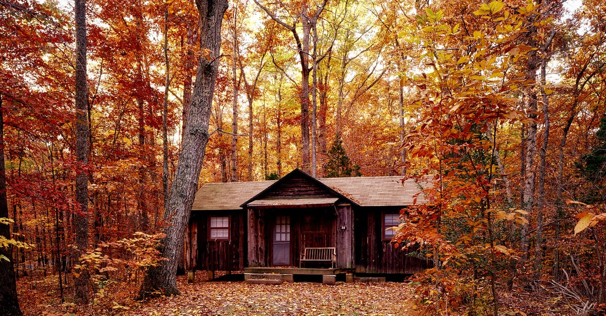 Are there alternatives to the ranger cabins in Algonquin Park? - Brown Wooden House on Orange Leaf Trees Are there alternatives to the ranger cabins in Algonquin Park? - Brown Wooden House on Orange Leaf Trees