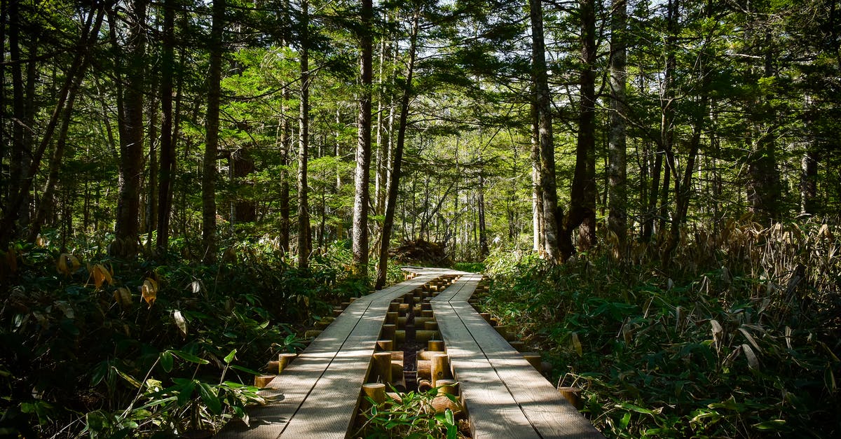 Are there any available spots left to hike the Inca Trail to Machu Picchu in May/June? - Brown Wooden Pathway Surrounded by Green Plants and Trees Are there any available spots left to hike the Inca Trail to Machu Picchu in May/June? - Brown Wooden Pathway Surrounded by Green Plants and Trees