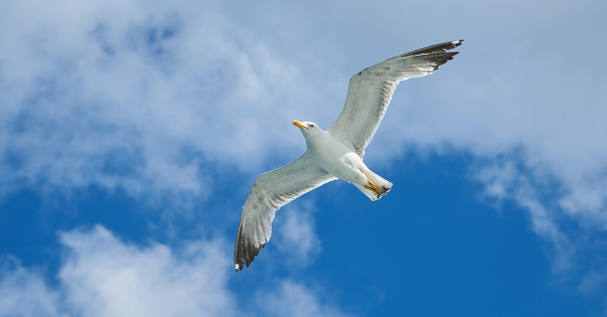 Are there any flights which fly above the Bermuda Triangle? - Flying Seagull Are there any flights which fly above the Bermuda Triangle? - Flying Seagull