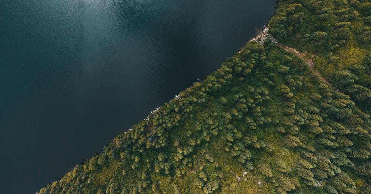 Are there any genuine gers near Sydney? - Aerial View of Sea Near Vast Field of Trees Are there any genuine gers near Sydney? - Aerial View of Sea Near Vast Field of Trees