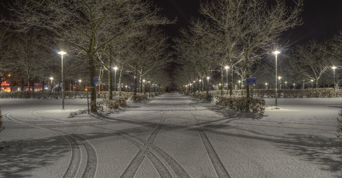 Are there any guarded parking lots anywhere in or near Berlin, Germany? - Cleared Road Near Trees and Light Post during Nighttime Are there any guarded parking lots anywhere in or near Berlin, Germany? - Cleared Road Near Trees and Light Post during Nighttime