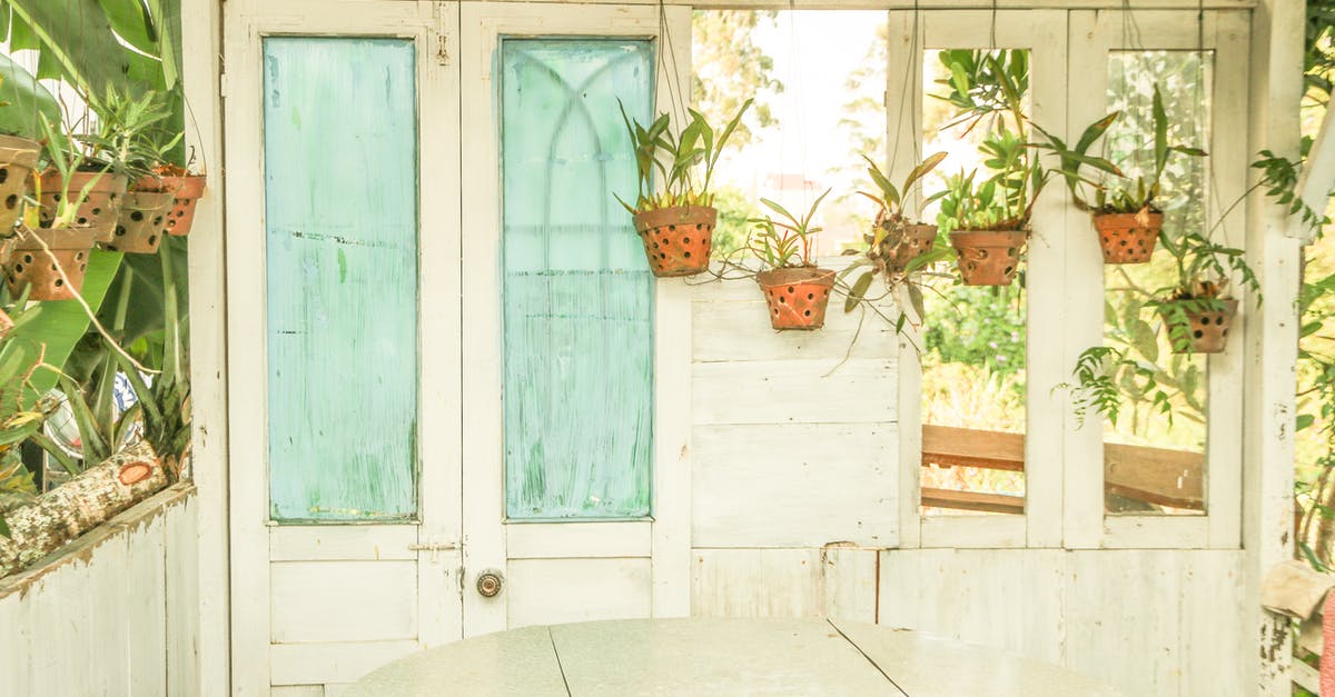 Are there any luggage lockers in Ho Chi Minh City? - Green-leafed Plants Potted on Pots Are there any luggage lockers in Ho Chi Minh City? - Green-leafed Plants Potted on Pots