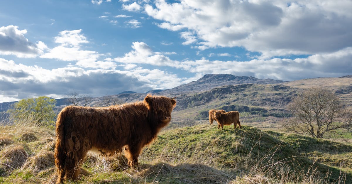 Are there any museums or sites in England or Scotland honouring James Watt? - Highland Cattle on the Mountain Are there any museums or sites in England or Scotland honouring James Watt? - Highland Cattle on the Mountain