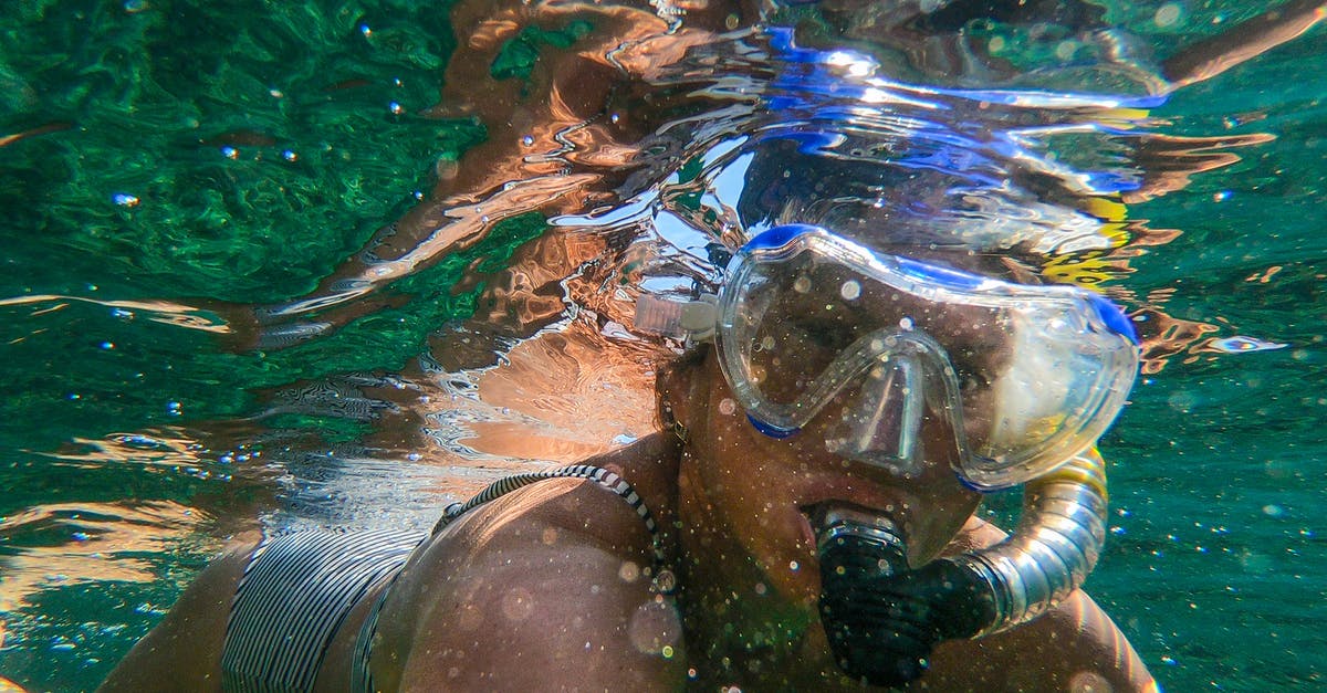 Are there any places to snorkel in Auckland? - Woman Wearing Goggles and Snorkel Are there any places to snorkel in Auckland? - Woman Wearing Goggles and Snorkel
