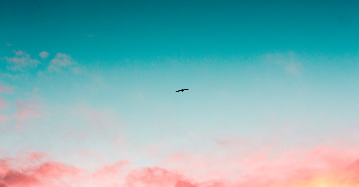 Are there any secrets or tricks to flying for free (or almost free)? - Beautiful Sky Are there any secrets or tricks to flying for free (or almost free)? - Beautiful Sky
