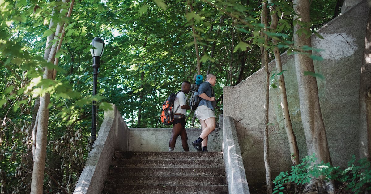 Are there any specific documents to carry when travelling from Bangalore to Hong Kong via Bangkok without visa? - Side view of active multiracial travelers walking upstairs in green park in sunny day Are there any specific documents to carry when travelling from Bangalore to Hong Kong via Bangkok without visa? - Side view of active multiracial travelers walking upstairs in green park in sunny day