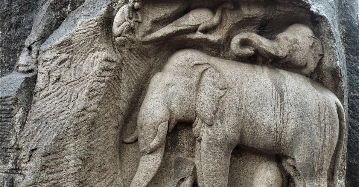 Are there any stone elephants in Shanghai? - A Sculpture of Elephants and a Monkey at the Descent of the Ganges in Mamallapuram, India Are there any stone elephants in Shanghai? - A Sculpture of Elephants and a Monkey at the Descent of the Ganges in Mamallapuram, India