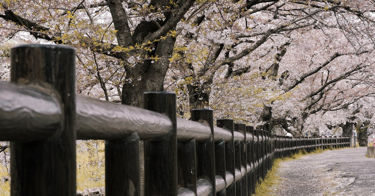 Are there differences between Japan Rail pass vendors? - Black Wooden Railing