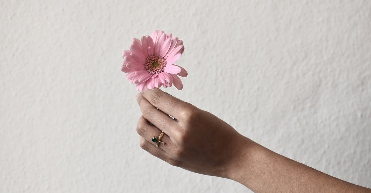 Are there (small, pod) hotels for single people in Western countries? - Unrecognizable person with golden ring on finger demonstrating small single flower with pink petals in hand on rough white background