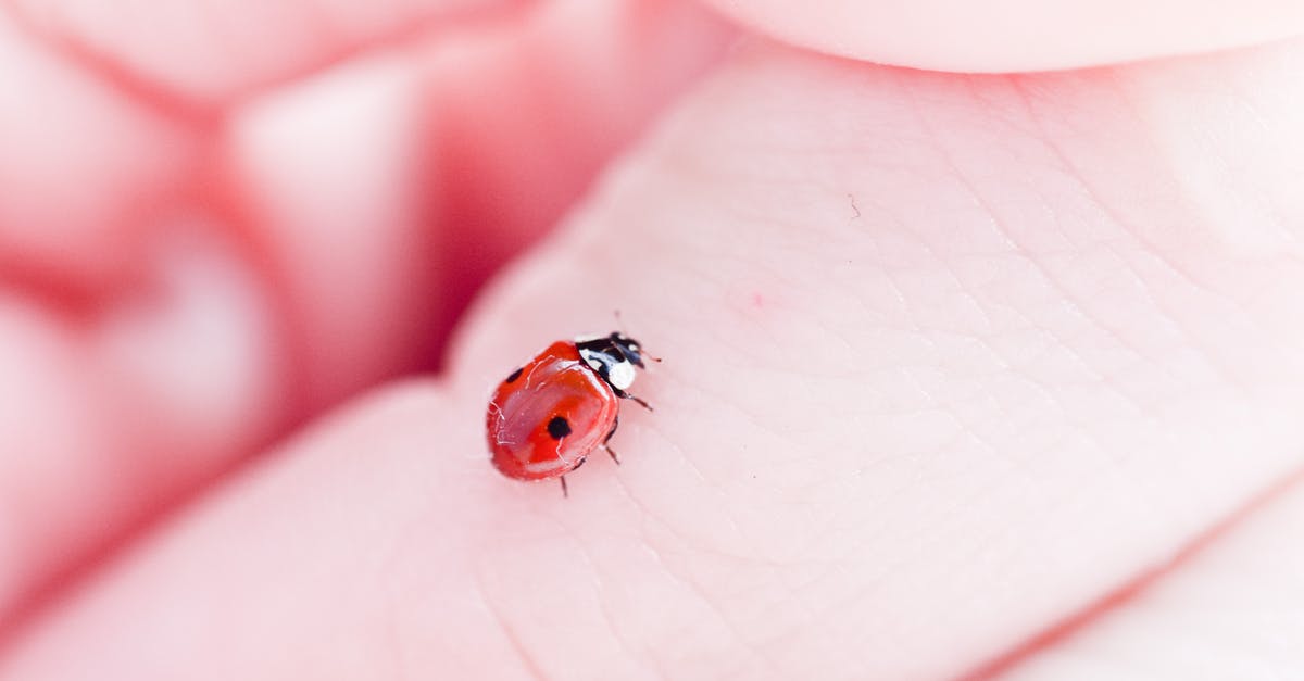 Are there (small, pod) hotels for single people in Western countries? - Hand of faceless person with ladybug