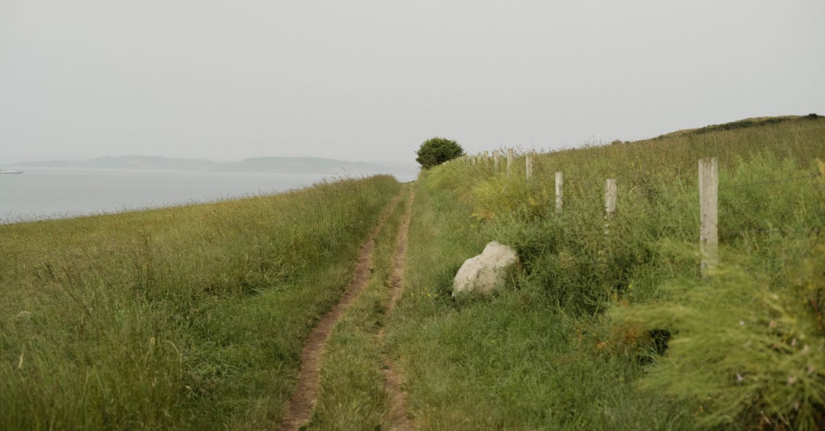 Are track and trail referring to different kind of footpaths in Australia? - Narrow path in green field